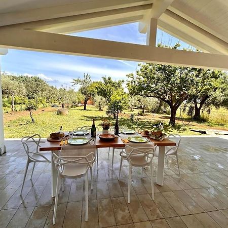 Willa Casa Riva - Among Olive Trees And The Tuscan Coast Vada Zewnętrze zdjęcie