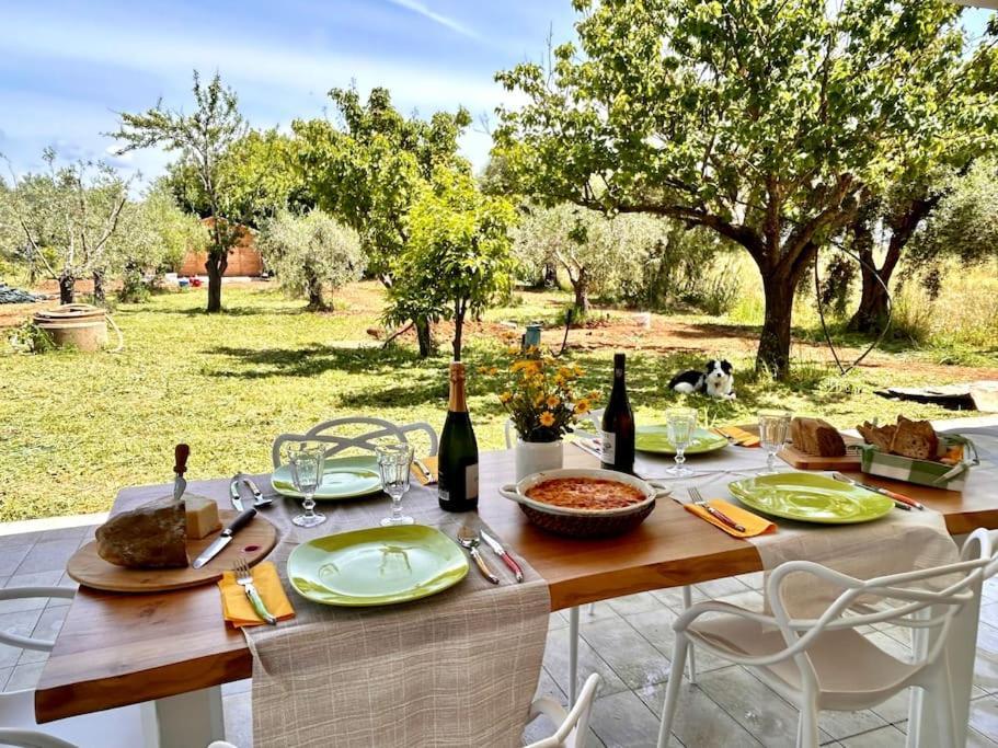 Willa Casa Riva - Among Olive Trees And The Tuscan Coast Vada Zewnętrze zdjęcie