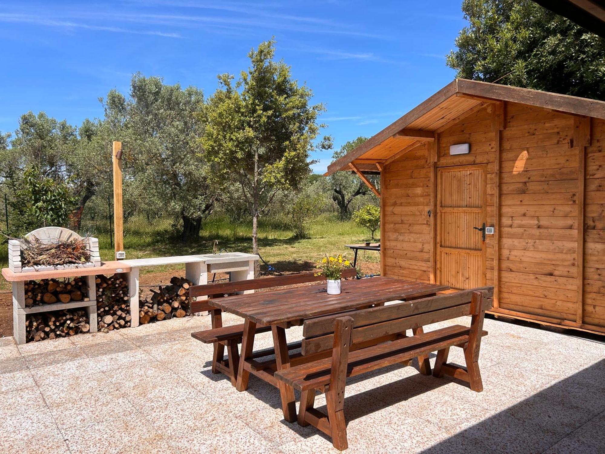 Willa Casa Riva - Among Olive Trees And The Tuscan Coast Vada Zewnętrze zdjęcie