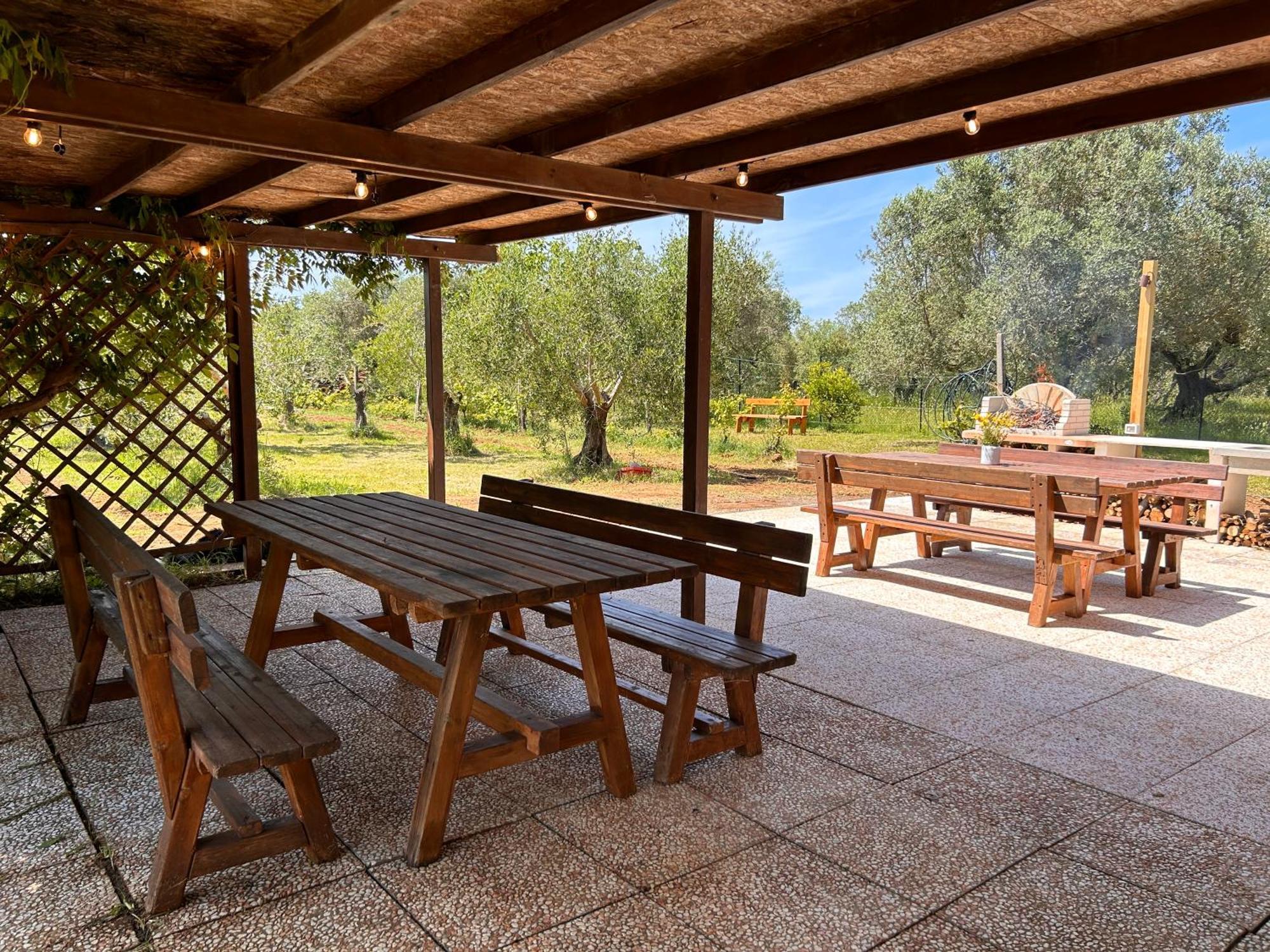 Willa Casa Riva - Among Olive Trees And The Tuscan Coast Vada Zewnętrze zdjęcie