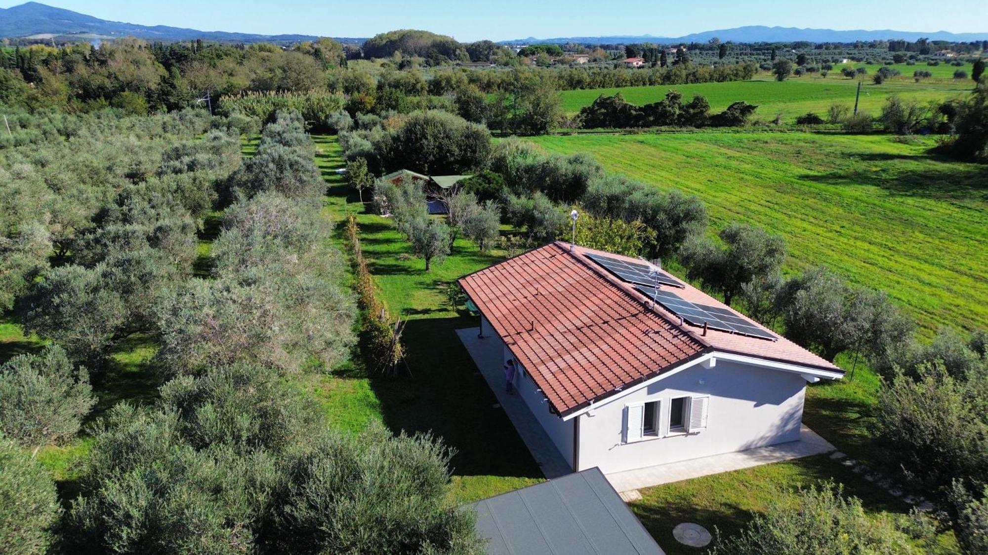 Willa Casa Riva - Among Olive Trees And The Tuscan Coast Vada Zewnętrze zdjęcie